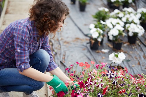 A gardener with curly, shoulder-length brown hair, wearing a purple plaid shirt, blue jeans, and green gardening gloves, is kneeling on a pathways in a garden, tending to a bed of colorful flowering plants, including pink, purple, and white blooms. Behind her, there are additional potted plants and flower beds with dark plastic coverings on the ground, indicating recent planting or maintenance. The garden features a neatly arranged lawn area with lush green grass, bordered by low hedges and shrubbery, in a residential outdoor space within the Palmers Green area. The scene appears to be outdoors on a slightly overcast day, with natural lighting, and the garden landscape is well-maintained, reflecting professional gardening and landscaping practices relevant to local residents seeking gardening services.