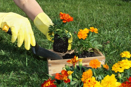 Garden maintenance crew trimming borders in a suburban Palmers Green property