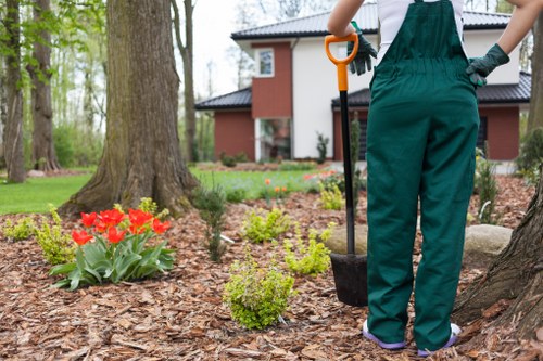 Team members planting trees in a landscaped garden